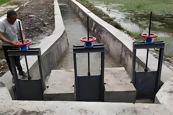 机闸一体式钢制闸门整体外观 | 钢制 | 闸门整体结构展示