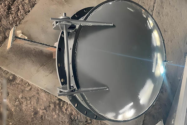 不锈钢拍门 | 304/316L 耐腐蚀 | 海水泵站污水处理厂用 | 厂家直供 - 产品中心