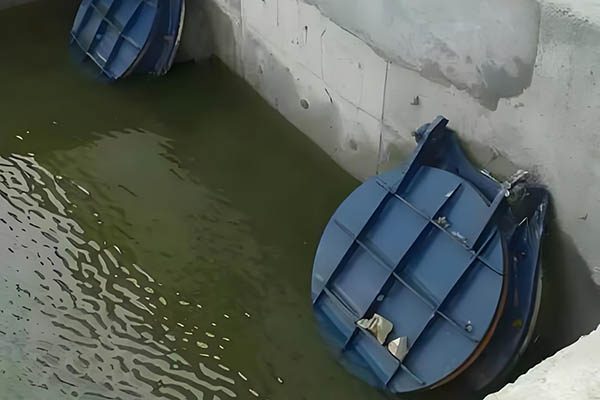 钢制拍门 | 方拍门/圆拍门/侧翻式 | 自动启闭防倒灌 | 排水泵站河道出口专用 | 源头工厂直供 展示图 3