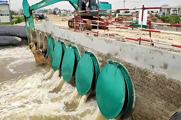 拍门橡胶密封圈 | 原厂配件更换 | 三元乙丙/丁腈材质 | 耐老化耐腐蚀 | 厂家直供 展示图 2